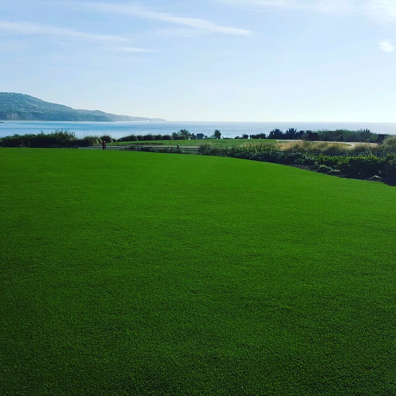 Artificial grass installers, San Francisco