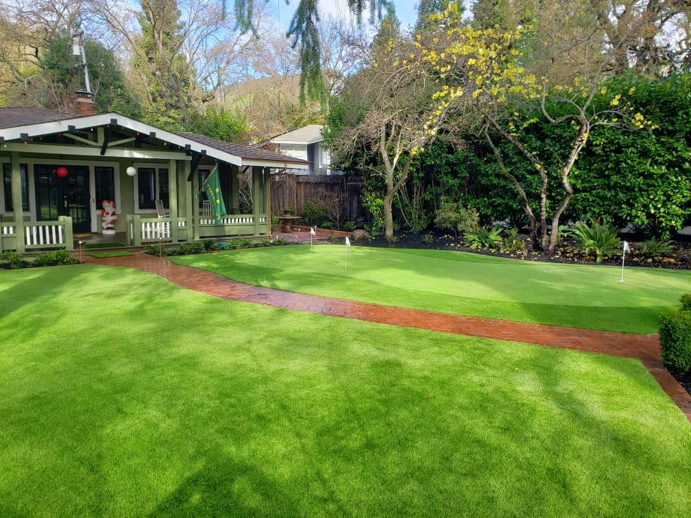 Green front yard with no watering needed