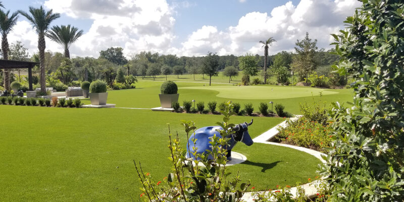 Artificial Grass and Putting Green Installation San Francisco