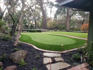 artificial grass backyard putting green