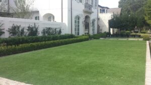 synthetic turf front yard