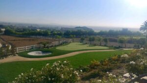 golf amenity putting green installation